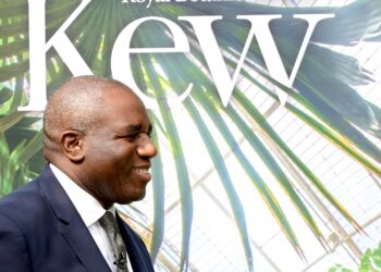David Lammy’s ambitious green foreign policy plans will require cash and commitment | UK News
