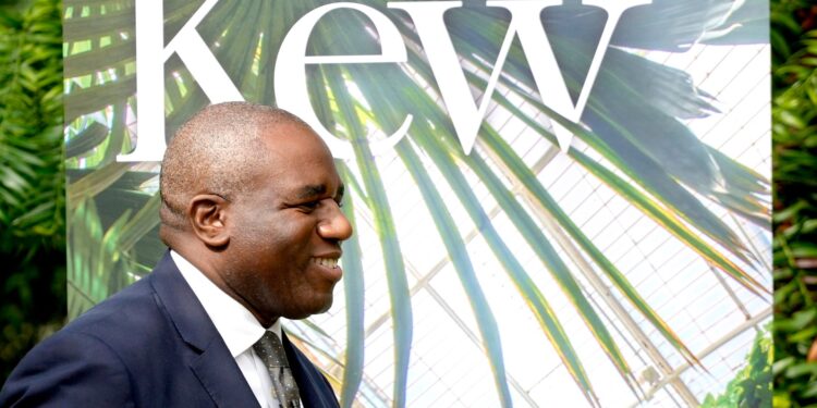 David Lammy’s ambitious green foreign policy plans will require cash and commitment | UK News