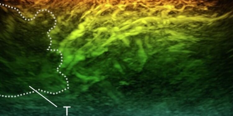 New miniature scanner could revolutionise diagnosis of diseases like cancer, diabetes and arthritis | Science & Tech News