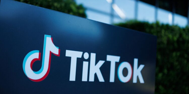 TikTok bans Russian state media accounts over ‘covert influence operations’ ahead of US election | Science & Tech News