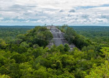 Laser technology uncovers ancient Mayan city hidden in Mexico jungle | World News