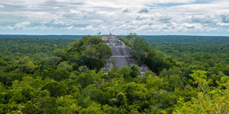 Laser technology uncovers ancient Mayan city hidden in Mexico jungle | World News