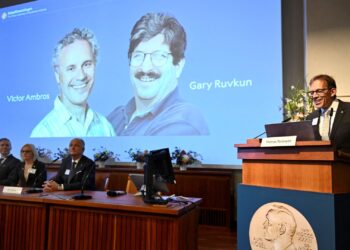 Nobel Prize for medicine goes to American scientists who worked on microRNA | Science & Tech News