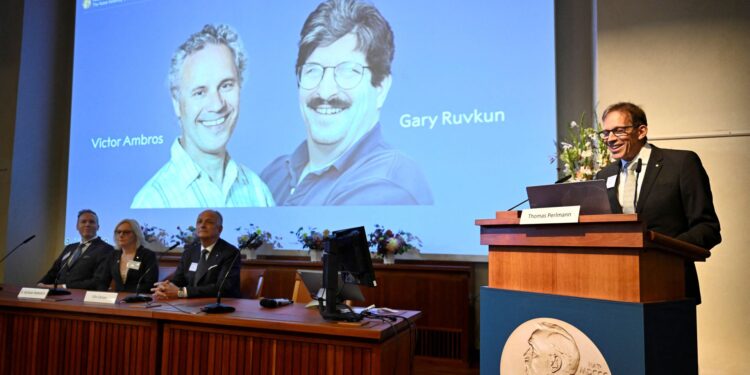 Nobel Prize for medicine goes to American scientists who worked on microRNA | Science & Tech News