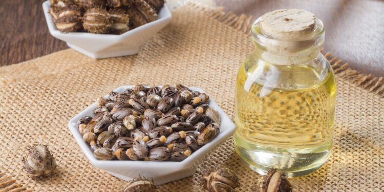 What is ricin – the biological substance police say they found at Southport suspect’s home? | UK News