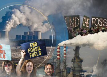 Last year the world promised to ‘transition away’ from fossil fuels. One year on, has it? | Science, Climate & Tech News