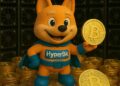 Crypto’s Wild Ride and the Crypto Miners that are the backbone of an industry